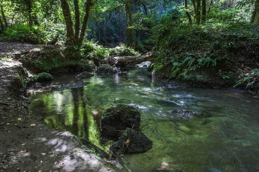 Agriturismo Villa Amerina Corchiano Kültér fotó